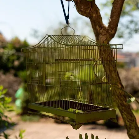 Anna 2 Apartament Pula