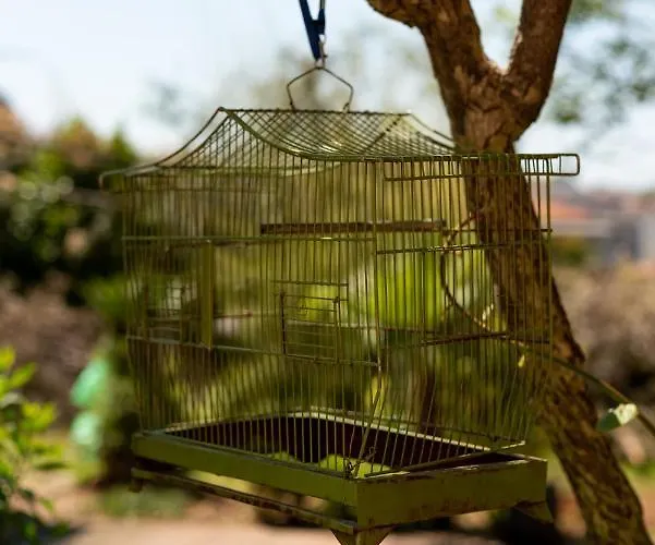 Anna 2 Apartman Pula